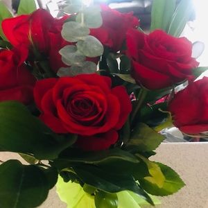 Meet your Posher, Lauryn